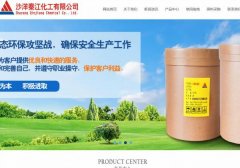 沙洋秦*化工有限公司建網(wǎng)站新一代自助建站、智能建站系統(tǒng)