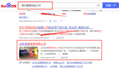 山東吉*橡塑有限公司網站建設優(yōu)秀設計作品