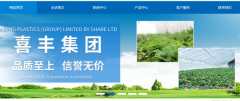 白山市喜*塑料(集團(tuán))股份有限公司網(wǎng)站設(shè)計(jì)營銷型案例作品