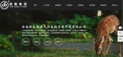企業(yè)做網站web前端開發(fā)技術