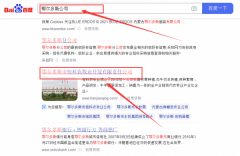 鄂爾多斯市恒*農牧業(yè)開發(fā)有限責任公司網站建設案例欣賞