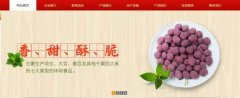 紅太*食品(榮成)有限公司制作網(wǎng)站新一代自助建站、智能建站系統(tǒng)