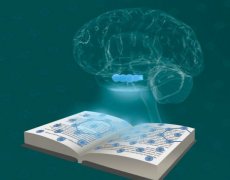 掌握網(wǎng)站SEO優(yōu)化更新，解鎖流量密碼